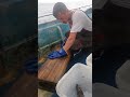 Как ловят осьминога на Сахалине 13.07.2022.г