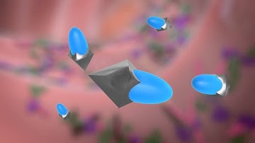 SYN-004 - C. difficile Infection Prevention