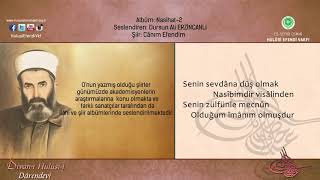 DURSUN ALİ ERZİNCANLI  ''Canım Efendim'' Resimi