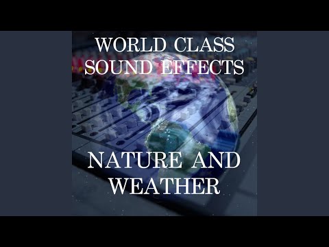 在 YouTube 上观看 Rain Drizzle Birds Traffic Weather Sound Effects Sound Effect Sounds EFX Sfx FX Nature and...