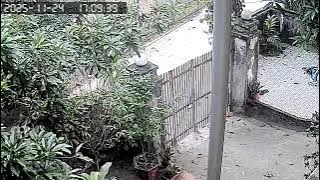 1763979102563470 0 8506906879 0 0 100 500 500 0