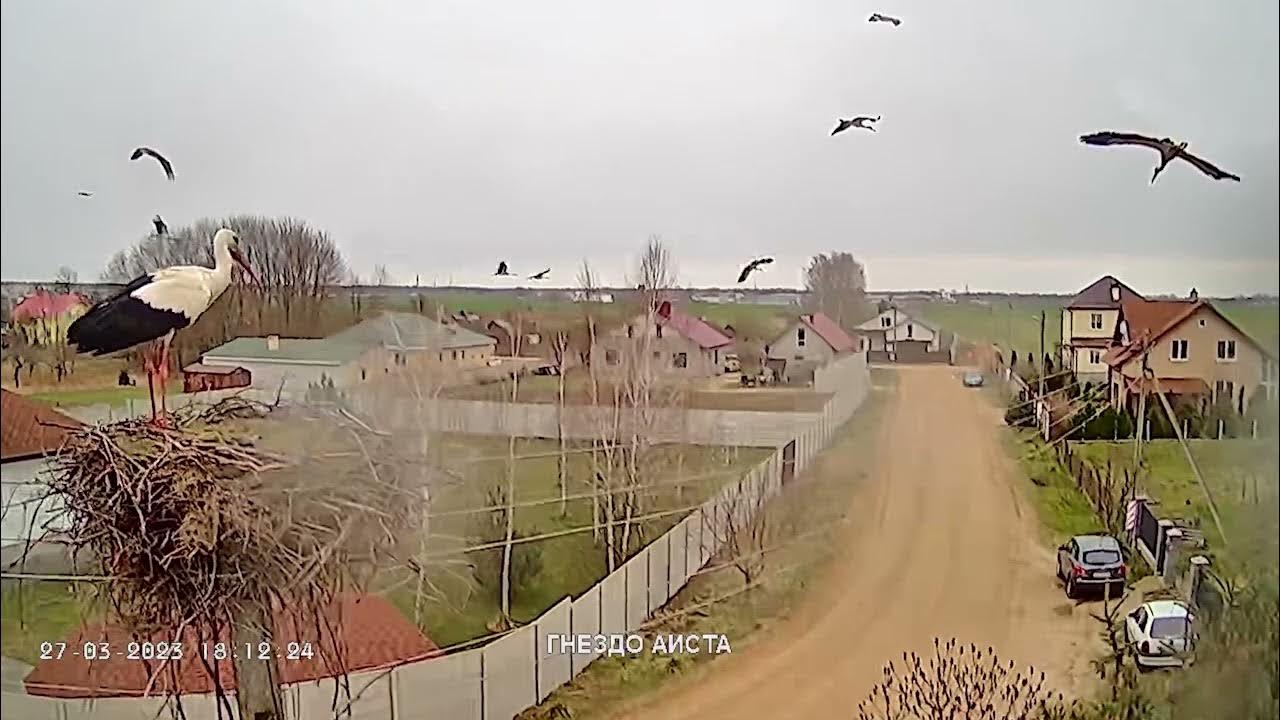 Интересные кадры с онлайн трансляции - YouTube