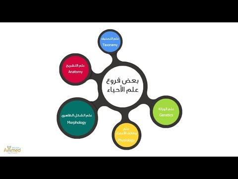 رحلة في علم الأحياء - فروع علم الأحياء - أهميتها | Biology branches