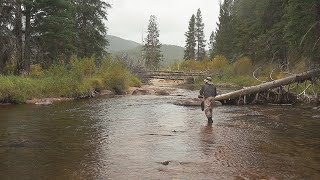 Fishing the Middle Fork of Rock Creek in Montana