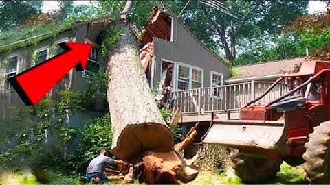 TOP Tree Cutting Fails Compilation & Idiots With Chainsaw ! Dangerous skills