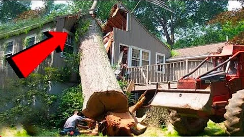 TOP Tree Cutting Fails Compilation & Idiots With Chainsaw ! Dangerous skills