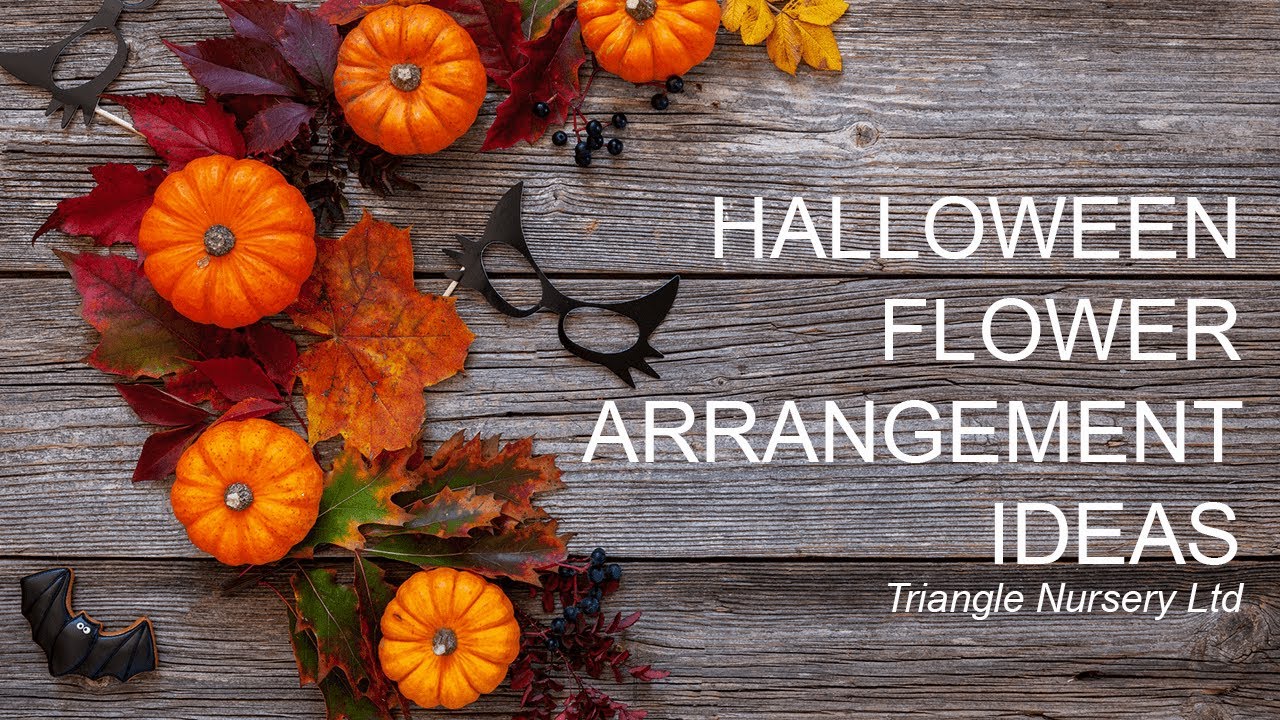 Halloween Spectacular: Triangle Nursery Goes Spooky!