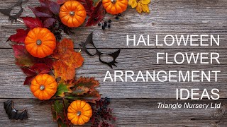 Halloween Spectacular: Triangle Nursery Goes Spooky!