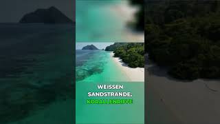 Die gefährlichsten Mangroven der Welt: Sundarbans #doku #natur #urlaub #life  #travel