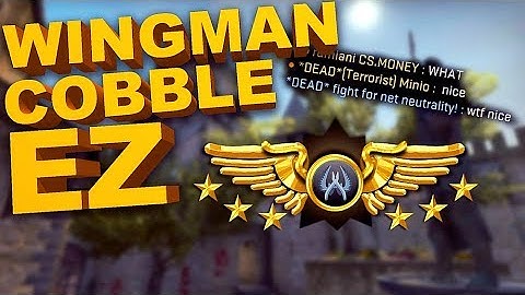 Wingman on Cobblestone! 9:0. How to win Wingman!