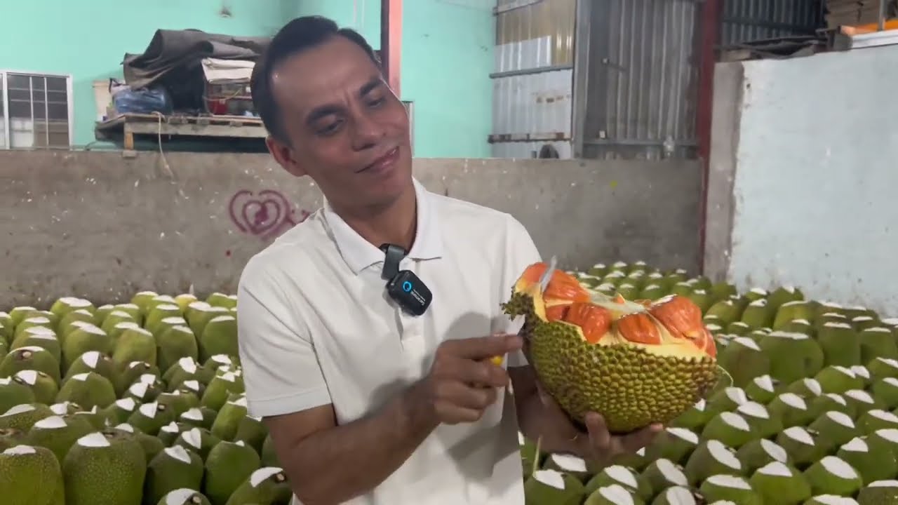Как распознать лучший индонезийский джекфрут с красной мякотью