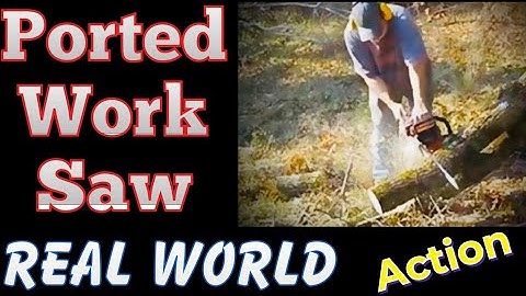 ported cs501p echo 50cc in action