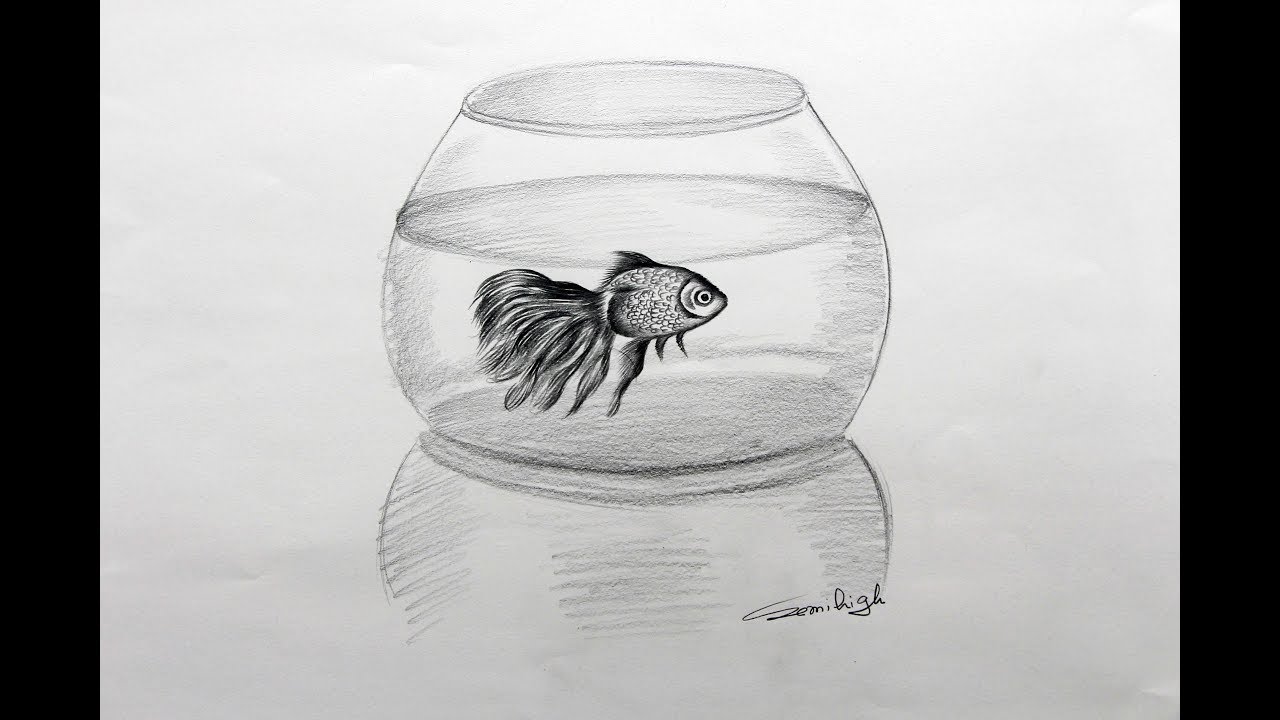 How to draw a fish · Sketch a Day