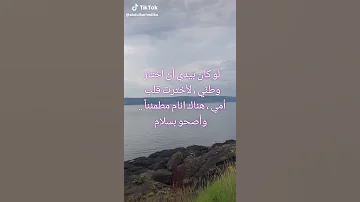 ياأمي دخيلك شوفتك محتاج 