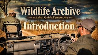 NEW: Wildlife Archive Series - INTRODUCTION