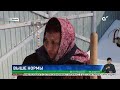 Завьюжило, замело: в Актюбинской области снега выпало выше нормы в три раза