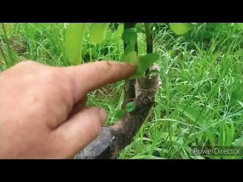 Как сохранить старые