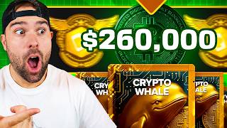 I Copied A Streamer's $250,000 PULL On Packdraw!