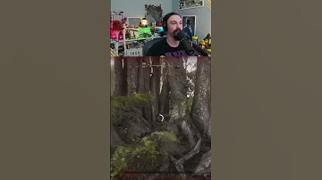 Solo VS Everyone #huntshowdown #vombuz #gaming