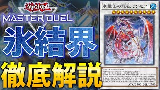 ぴっぴ 氷結界デッキ（エクシク変更） ぴっぴ様専用 氷結界デッキ（エクシク変更）
