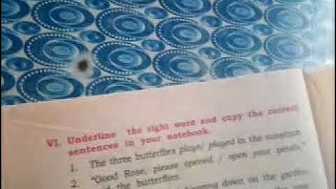 4 std English. unit 1. The three Butterflies. part 4