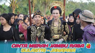 Lagu Cinta merah jambu ❤❤ || Live Beson Janapria Panorama Indonesia