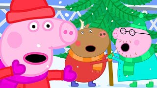 Peppa Kauft Einen Weihnachtsbaum Cartoons Für Kinder Peppa Wutz Neue Folgen