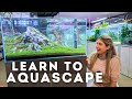 How to aquascape like a pro  mad aquariums store tour