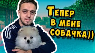 :    () |  | MINECRAFT
