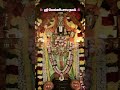 🌺 ஸ்ரீ வெங்கடேசாய நமஃ 🌺 #tirumala #tirupatibalaji #govinda #balaji #venkateswara #shorts #ytshorts