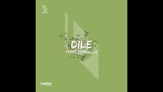 Peppe Citarella _ Dile (Original Mix) Resimi