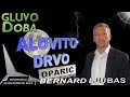 ALOVITO (GUMENO) DRVO - Bernard Ljubas