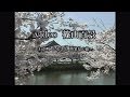 video 篠山百景～わが町 ふるさと 再発見の旅～