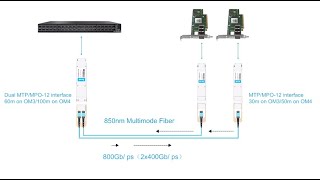 How to Use 800G OSFP SR8(MMA4Z00-NS) on NVIDIA Quantum-2 Switches | FiberMall