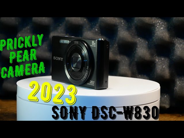 Sony DSC-W830 Digital Camera (Silver)