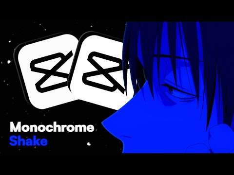 Monochrome Shake Transition  | CAPCUT TUTORIAL