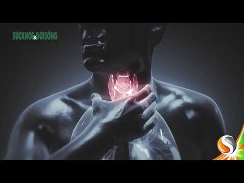 Video ƯU ĐIỂM CỦA VIÊN NGẬM KHÁNG KHUẨN TRỊ ĐAU HỌNG - youtube