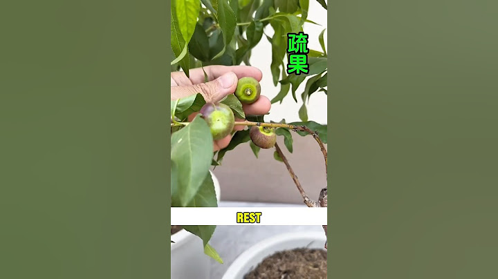 This is absolutely helpful