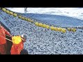 Amazing Big Catch Fishing on the Sea - Catch Hundreds Tons Fish With Modern Big Boat