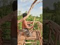 Building Bamboo House And Underground With Swimming Pools