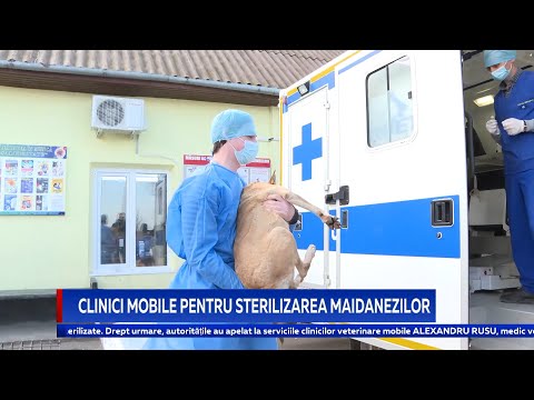 Video: Clinici Veterinare Mobile: Ce Sunt Acestea?