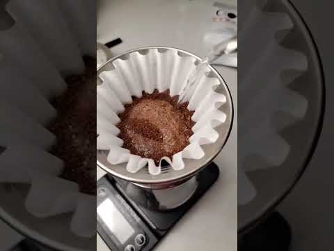 Slow and Steady With the Kalita
