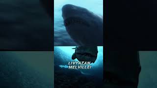 Megalodon vs Extinct Sea Predators #1v1 #debates #animals #shark #megalodon  #sea #shorts #vs