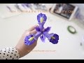 How to make Iris flower out of clay - Part 1 tutorial