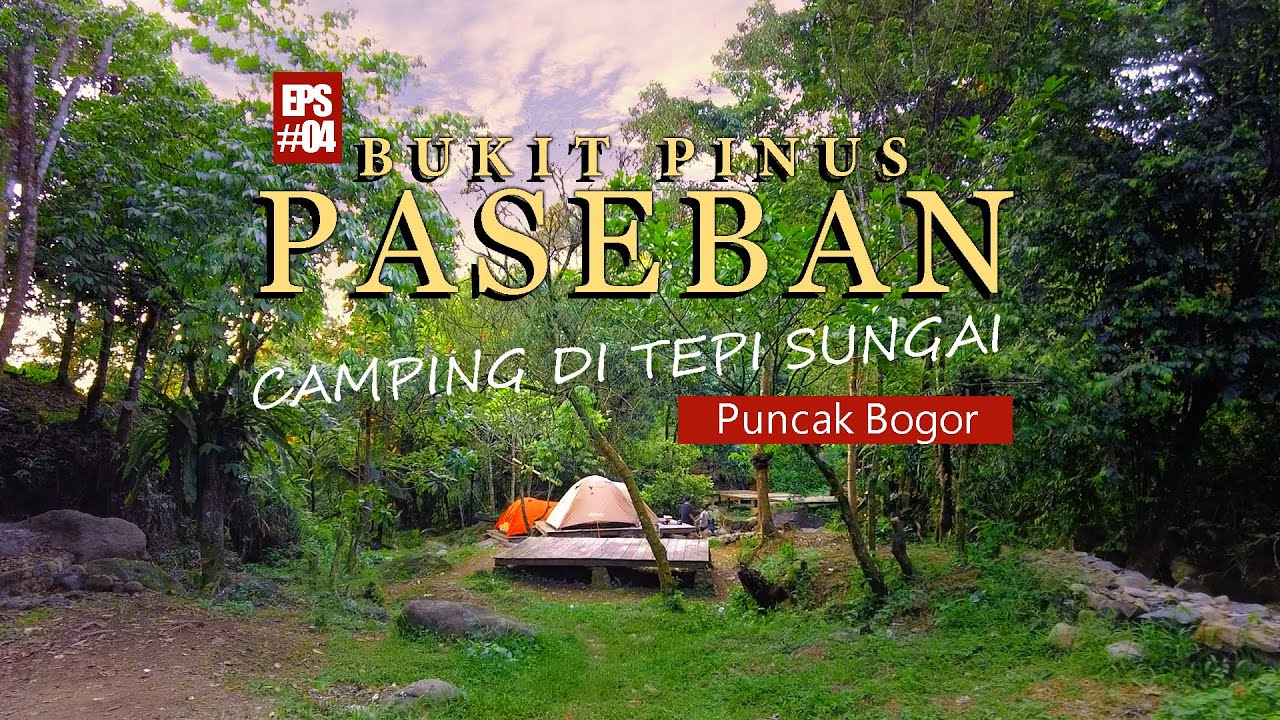 Camping Keluarga Di BUKIT PINUS PASEBAN | Camping di Pinggir Sungai ...