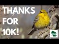 Thanks for 10,000 Subscribers! Enter our Giveaway!