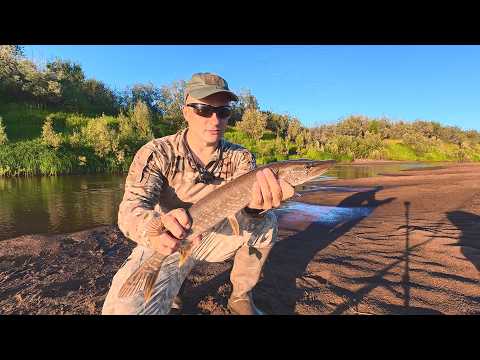 FISHING THAT INVOKES ENVY/CRAZED PIKE IN THE CREEKS BITING ON A SINGLE PLUG. BEST FISHING OF THE ...