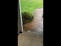 Viewer video | Yard floods in Folsom