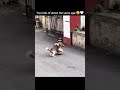 Two kids of about the same age 😄🤍