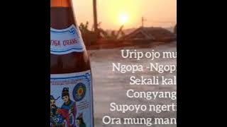 CONGYANG - Story WA Minuman Keras